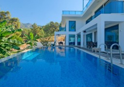 Villa NOYA